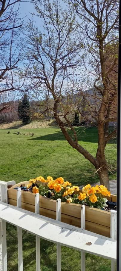Na Lesnej Daire Kowary Dış mekan fotoğraf
