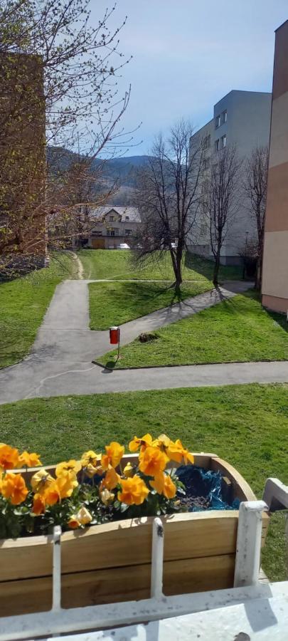 Na Lesnej Daire Kowary Dış mekan fotoğraf