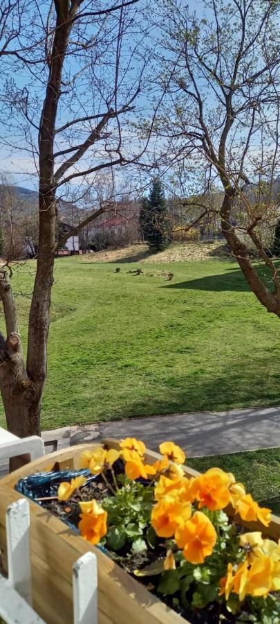 Na Lesnej Daire Kowary Dış mekan fotoğraf