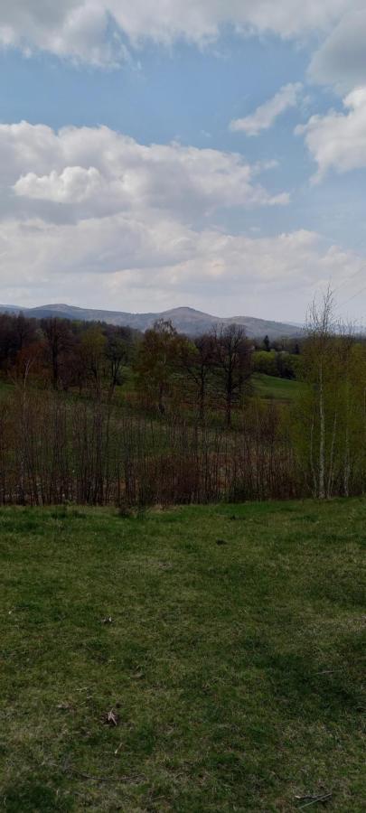 Na Lesnej Daire Kowary Dış mekan fotoğraf