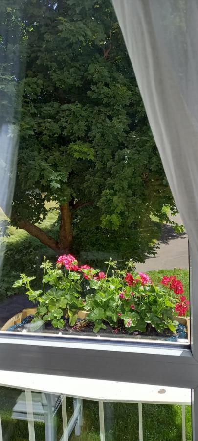 Na Lesnej Daire Kowary Dış mekan fotoğraf
